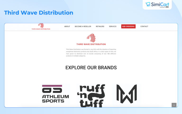 30+ Best Dropshipping Suppliers in South Africa 2025 [General and Niches]