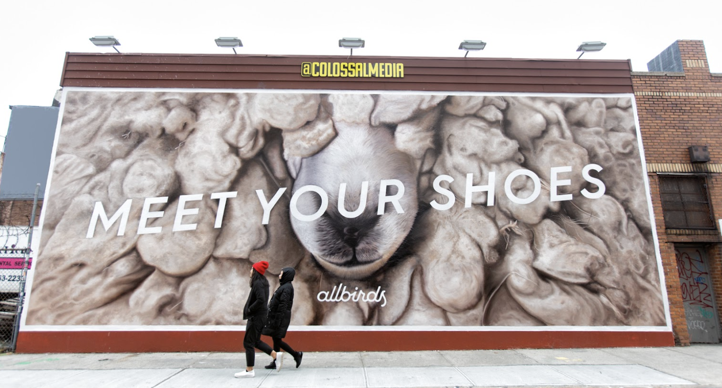 Allbirds meet your shoes campaign