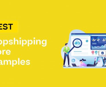 Dropshipping stores examples