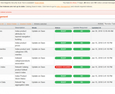 magento cannot initialize the indexer process