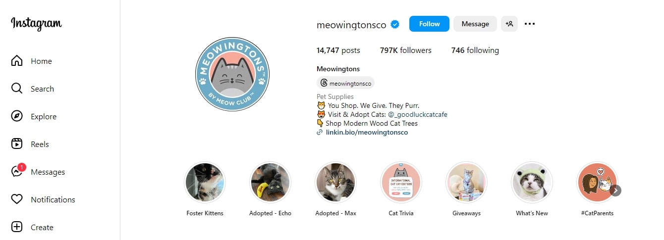 key elements Meowingtons dropshipping store examples