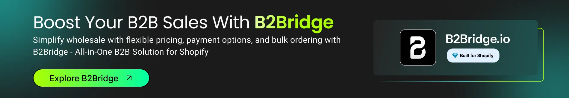visit b2bridge.io website